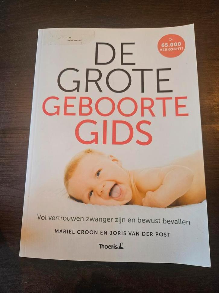 De Grote Geboortegids - Mariël Croon, Boeken, Zwangerschap en Opvoeding, Zo goed als nieuw, Zwangerschap en Bevalling, Ophalen of Verzenden