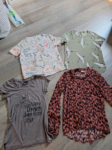 Tshirts en blouse maat 34/xs beschikbaar voor biedingen