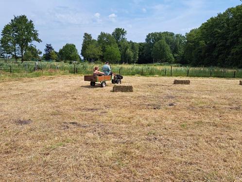 Tweewielige trekker met aanhanger en frees, Dieren en Toebehoren, Stalling en Weidegang, Toebehoren