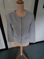 Grijs dames vest z.g.a.n, Maat 38/40 (M), Ophalen of Verzenden, Zo goed als nieuw, Grijs