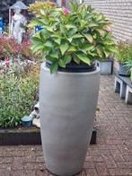 💥 Zware, tuinvaas, bloembak,  90 cm, terracotta ruwglazuur., Tuin en Terras, Ophalen, Gebruikt