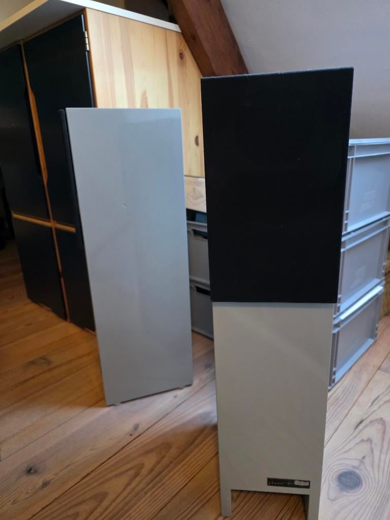 Studio de Schop luidsprekers - Zuiltjes in goede staat, Gebruikt, 60 tot 120 watt, Front, Rear of Stereo speakers, Ophalen