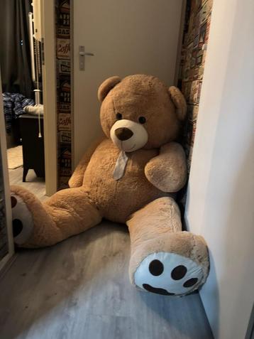 Grote Knuffelbeer te Koop! beschikbaar voor biedingen