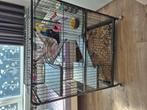 Kooi, Dieren en Toebehoren, Ophalen, Zo goed als nieuw, Metaal, Vogelkooi