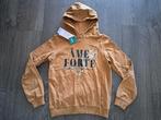 NIEUW  Meisjes Hoodie  Trui  Only  - 146/152  jusa17, Kinderen en Baby's, Kinderkleding | Maat 146, Meisje, Trui of Vest, Nieuw