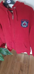 nieuw rood heren vest riverwoods xxl, Kleding | Heren, Nieuw, Overige maten, Ophalen of Verzenden, River Woods