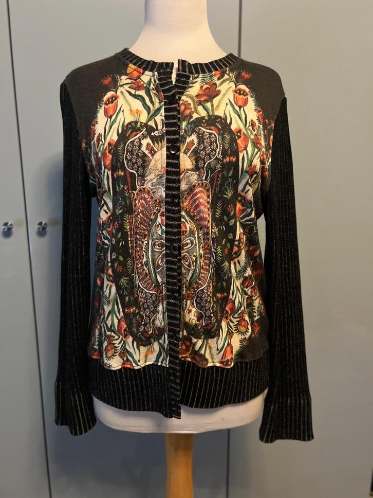 Aldo Martin's vest maat 40, Kleding | Dames, Truien en Vesten, Zo goed als nieuw, Maat 38/40 (M), Overige kleuren, Verzenden