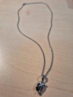 Zilverkleurige ketting en dolfijn hanger, Sieraden, Tassen en Uiterlijk, Kettingen, Gebruikt, Ophalen of Verzenden, Zilver, Overige materialen