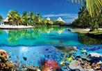 Onderwater vlies fotobehang Dolfijnen Malediven - Hawaii, Verzenden, Minder dan 10 m², Onderwater, sealife, dolfijnen, slaapkamer,