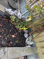 Gratis grote stenen / rotsen ophalen, Ophalen, Overige materialen, Gebruikt, Kei