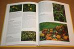Kruiden encyclopedie - Nico Vermeulen - Rebo Productions, Ophalen of Verzenden, Zo goed als nieuw, Moestuin
