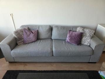 Grijze tweezitsbank in goede staat