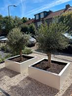 Plantenbak, Tuin en Terras, Bloembakken en Plantenbakken, Info@plantenbakkenvanstaal.nl, Nieuw, Ophalen of Verzenden, Binnen
