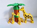 Duplo dierentuin safari dieren giraf, Kinderen en Baby's, Speelgoed | Duplo en Lego, Ophalen of Verzenden, Gebruikt, Duplo