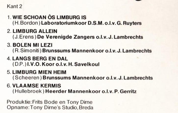 Laboratoriumkoor D.S.M.Staatsmijnen ea-Zuid Limburg-vinyl LP, Boeken, Geschiedenis | Stad en Regio, Gelezen, Ophalen