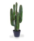 Cactus Euphorbia kunstplant intratuin, Ophalen, Zo goed als nieuw