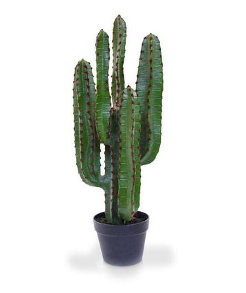 Cactus Euphorbia kunstplant intratuin beschikbaar voor biedingen