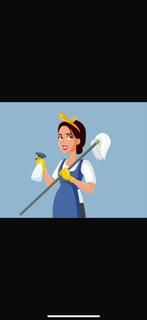 Betrouwbar poetshulp in Roosendaal, Vacatures, Vacatures | Schoonmaak en Facilitaire diensten, Overige vormen