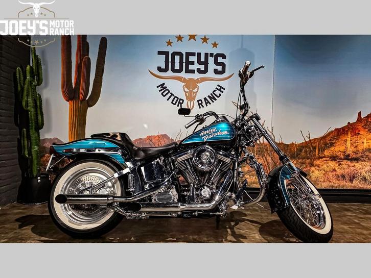HARLEY-DAVIDSON SOFTAIL STANDARD FXST CUSTOM (bj 1989), Motoren, Motoren | Harley-Davidson, Bedrijf, Overig, meer dan 35 kW, 2 cilinders