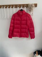 Superleuk jasje gewatteerd benneton maat 38 roze, Maat 38/40 (M), Benneton, Ophalen of Verzenden, Zo goed als nieuw