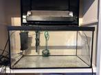Aquarium 60x30x30