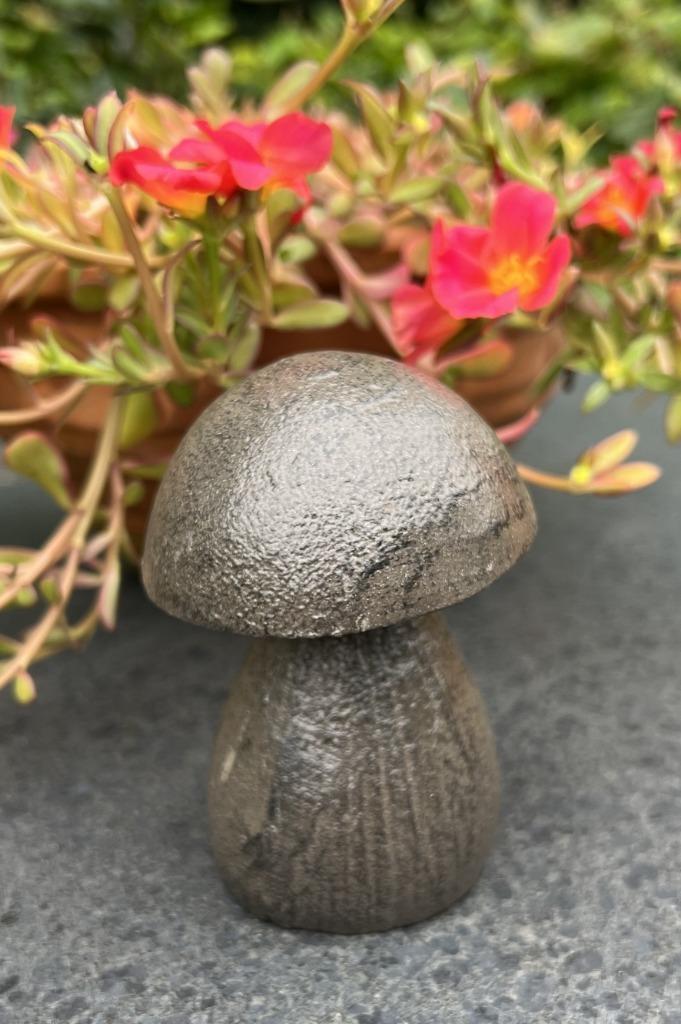 Paddenstoel, beeld, gietijzer, decoratie, herfst, sfeer, top, Verzamelen, Beelden en Beeldjes, Zo goed als nieuw, Overige typen