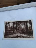 Heilig land stichting. BERG THABOR, Ophalen of Verzenden, Voor 1920, Gelderland