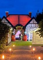 Opblaasbare feesttent huren met houten vloer? Incl plaatsen, Ophalen of Verzenden, Zo goed als nieuw, Verjaardag