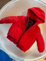 Tommy Hilfiger Teddy Winterjas - Maat 74, Jongen of Meisje, Overige typen, Ophalen of Verzenden, Tommy Hilfiger