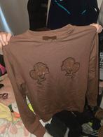 Reinders Trui Bruin, Ophalen of Verzenden