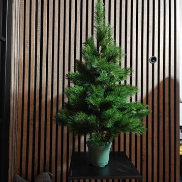 kerstboom beschikbaar voor biedingen