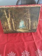 Te koop : Schilderij olieverf, Ophalen