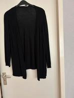 Dun Zwart Dames Vest maat XL in goede staat, Ophalen of Verzenden, Zo goed als nieuw, Zwart, Trui of Vest