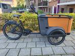 CANGOO BUCKLE UP - E-BAKFIETS, 4 kinderen of meer, Nieuw, Elektrisch, Ophalen