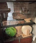 Hamsterkooi van glas, Dieren en Toebehoren, Kooi, Gebruikt, Hamster, 75 tot 110 cm