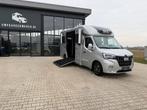 Renault STX >>dubbele cabine<< 2023 paardenwagen, Ophalen, Nieuw, Aluminium, Overige typen