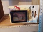 Prachtige lamp poppenhuis, Verzamelen, Poppenhuizen en Toebehoren, Verzenden, Zo goed als nieuw, Poppenhuis