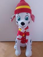 Grote Paw Patrol Sky, Ophalen of Verzenden, Zo goed als nieuw, Overige typen