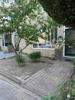 Tuinman aangeboden, Ophalen of Verzenden, Nieuw, 20 m² of meer