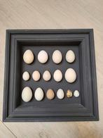 Kunstwerk van uitgeblazen eieren in lijst, Ophalen