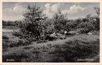 Ermelo Salemsche Heide Gelderland, Ophalen of Verzenden, 1940 tot 1960, Gelopen, Gelderland