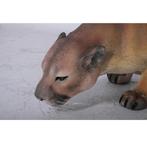 Cougar – Poema beeld Lengte 135 cm, Ophalen, Nieuw, Overige typen