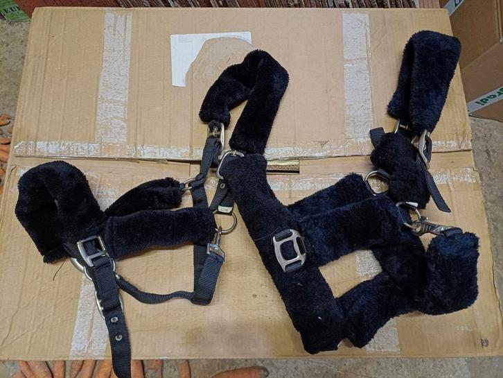 Bont halsters cob, Dieren en Toebehoren, Paarden en Pony's | Overige Paardenspullen, Zo goed als nieuw, Dressuur, Ophalen of Verzenden