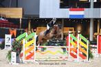 Training & instructie, Diensten en Vakmensen, Dieren | Paarden | Verzorging, Oppas en Les, Paardrijles of Ponykampen