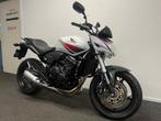 Prachtige HONDA CB 600 F HORNET C-ABS CB600F (bj 2009), 4 cilinders, Bedrijf, Meer dan 35 kW, 600 cc