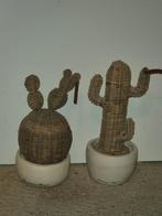 Riviera maison rustic rattan cactussen, Ophalen of Verzenden, Halfschaduw, Minder dan 100 cm