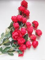PRACHTIGE BLOEMSTEEL PIOENROZEN - ROOD, Ophalen of Verzenden, Nieuw