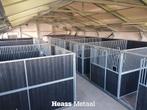 Paardenbox Tussenwand Model A | Gesloten | Nieuw | Heass, Weidegang, 4 paarden of pony's of meer