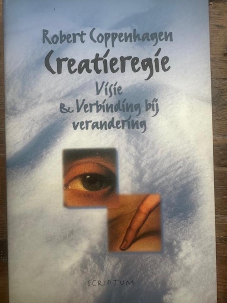 Boek: Creatieregie Visie & Verbinden bij verandering, Boeken, Economie, Management en Marketing, Nieuw, Management, Ophalen of Verzenden