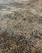 Brink en Campman WK Wohnen Lana tapijt 2x 3 NIEUW, Huis en Inrichting, Ophalen, Rechthoekig, 200 cm of meer